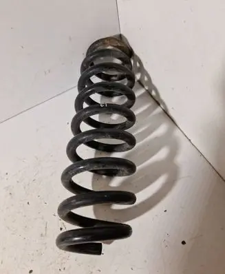 Rear coil spring