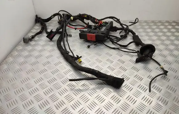 Engine installation wiring loom