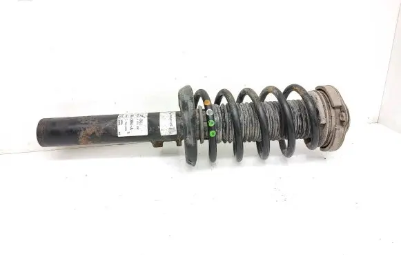Front shock absorber with coil spring