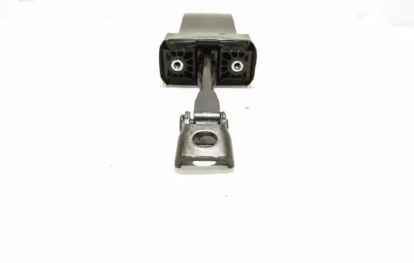 Rear door check strap stopper