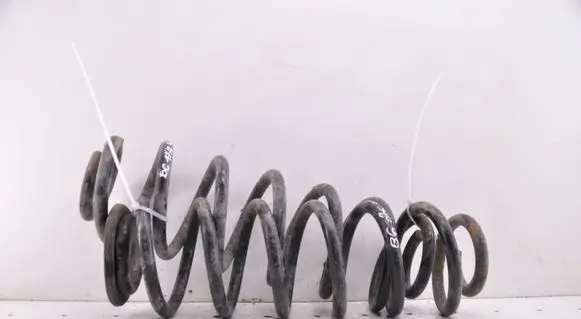 Volkswagen PASSAT B6 Set of springs and shock absorbers (Front and rear) 