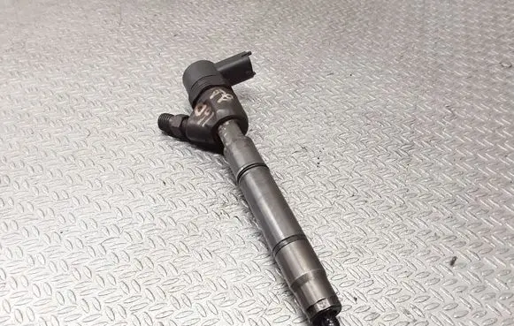 Hyundai i30 Fuel injector 0445110256 338002A400