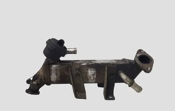 Nissan X-Trail T31 EGR valve cooler 8200719993D L0281010