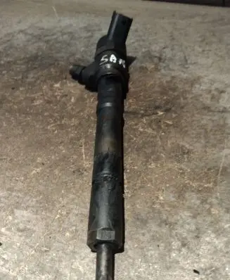 Hyundai Santa Fe Fuel injector 0445110064