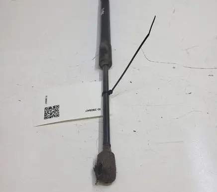 Nissan Leaf I (ZE0) Tailgate/trunk strut/damper 904503NF0A