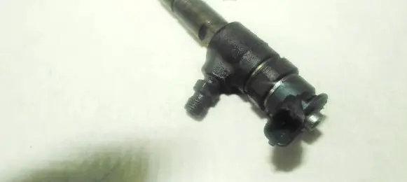 Citroen Berlingo Fuel injector 0445110340 870692