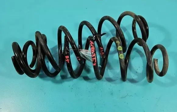 Rear coil spring