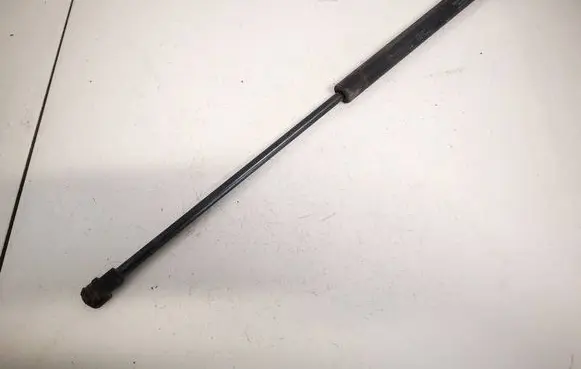 Tailgate/trunk strut/damper