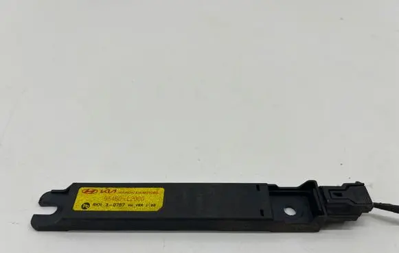 Hyundai IONIQ 6 Keyless system antenna 95460L2000