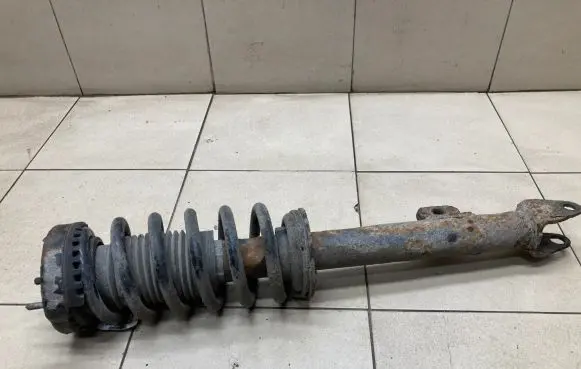 Chrysler 300 - 300C Front shock absorber with coil spring