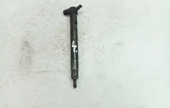 Chevrolet Captiva Fuel injector 28264951 DP5654936E 4207BB27R64