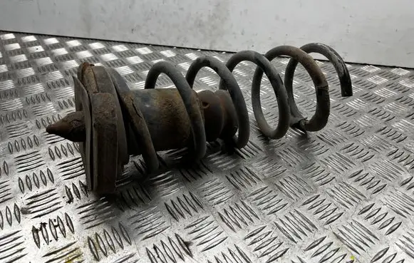 Rear coil spring