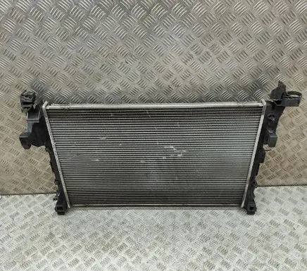 Opel Vivaro Coolant radiator 2002303 59295