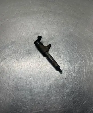 Peugeot Partner Fuel injector 0445110566