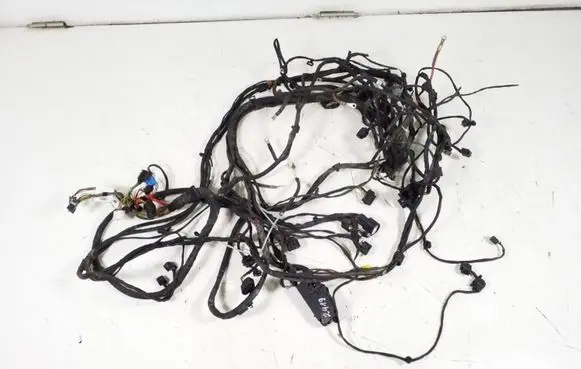 Other wiring loom