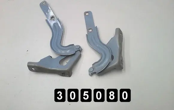 Volkswagen Beetle A5 Engine bonnet/hood hinges