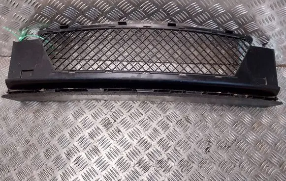 BMW Z4 E85 E86 Front bumper lower grill S26380262 51130151008