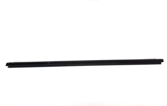 Ford Mach-E I Front door glass trim molding LJ8B-20562-AD