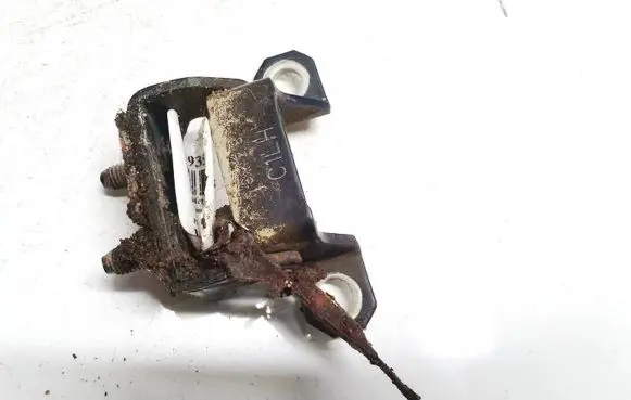 Chevrolet Captiva Tailgate/trunk/boot hinge 06k28