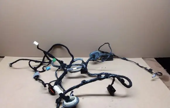 Front door wiring loom