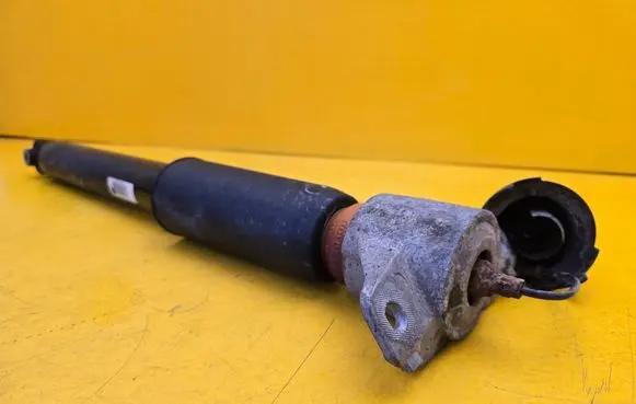 Audi e-tron Rear shock absorber/damper 482400014784 4KE616025E