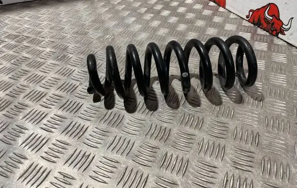 Mercedes-Benz C W205 Rear coil spring