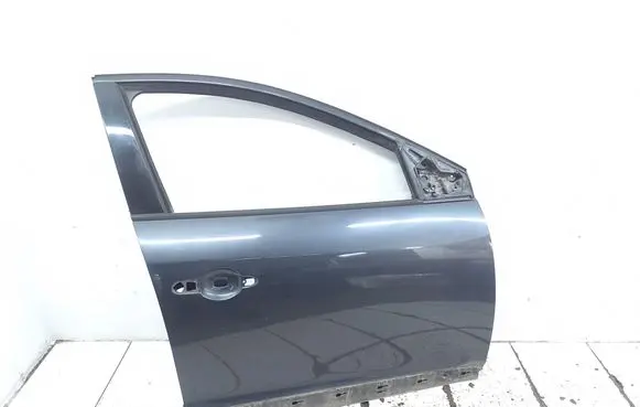 Renault Megane III Front door