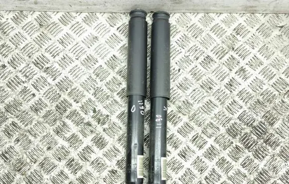 Citroen C5 Aircross Rear shock absorber/damper 9830295380