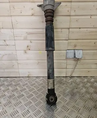 Rear shock absorber/damper