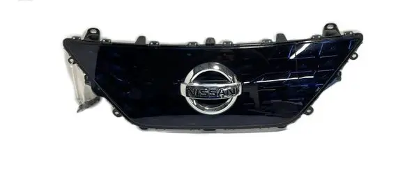 Nissan Leaf II (ZE1) Front bumper upper radiator grill 620725SK0D 43764
