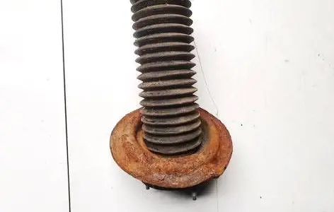 Coil spring mount