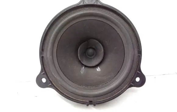 Rear door speaker