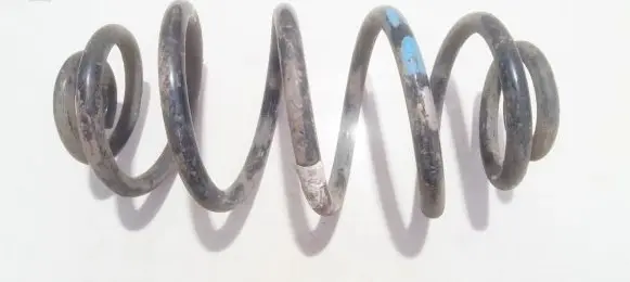 Volkswagen PASSAT B5 Rear coil spring