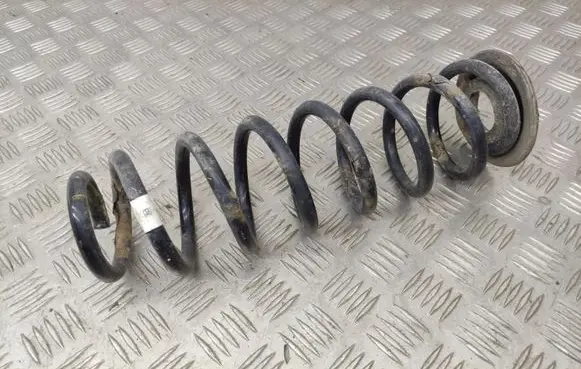Volkswagen PASSAT B8 Rear coil spring