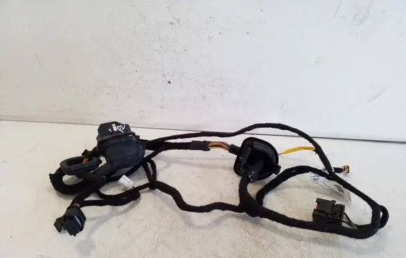 Jeep Renegade Front door wiring loom 00520145130