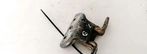Hyundai Sonata Rear door lower hinge