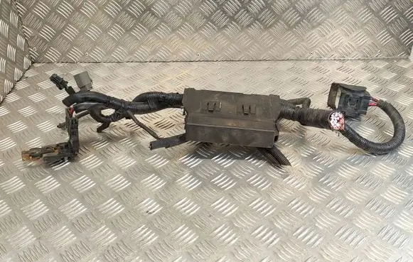 Nissan Juke I F15 Fuse module