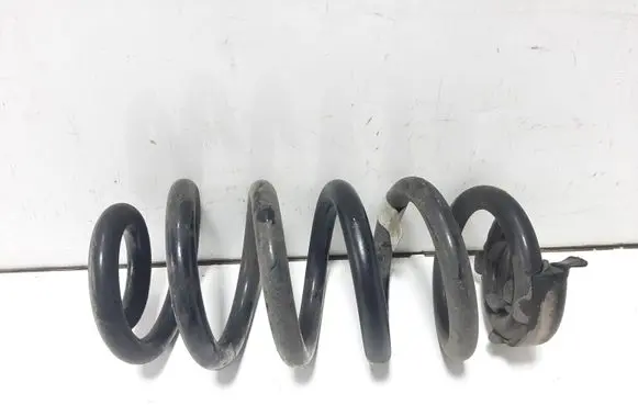 Cupra Born Rear coil spring 1EA511103Q