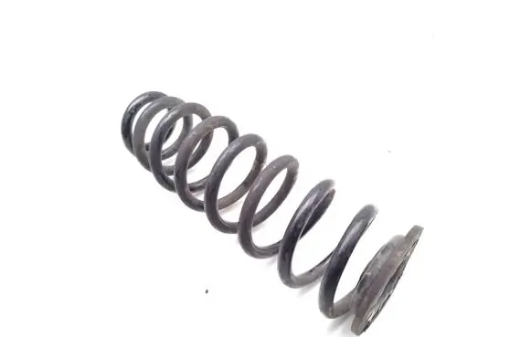 Rear coil spring
