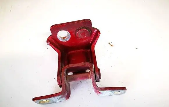 Rear door lower hinge