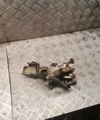 Skoda Octavia Mk2 (1Z) EGR valve cooler 038131513ad