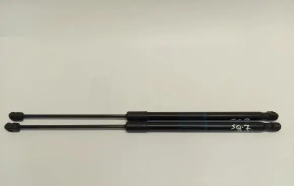 Tailgate strut