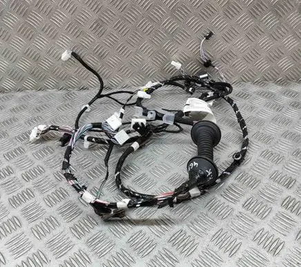 Lexus RX 450H Front door wiring loom 8215248E50