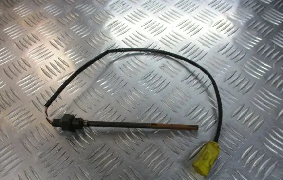 Citroen C4 I Exhaust gas temperature sensor