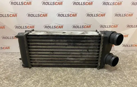 Peugeot 307 Intercooler air channel guide 9648551880 876923JE IA1401