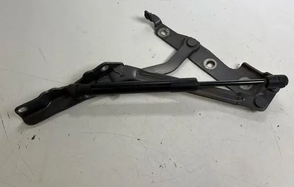 Ford Mustang V Tailgate/trunk/boot hinge E816K