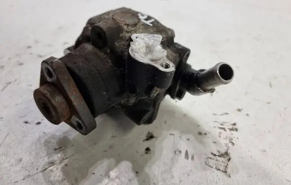 Volkswagen Transporter - Caravelle T6 Power steering pump 7E0422154E