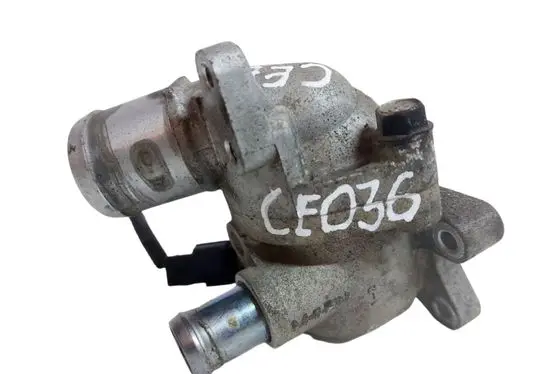 Thermostat/thermostat housing