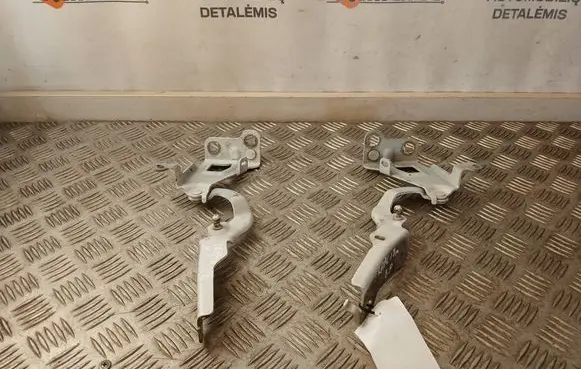 Renault Trafic III (X82) Engine bonnet/hood hinges 654004002R 654010249R