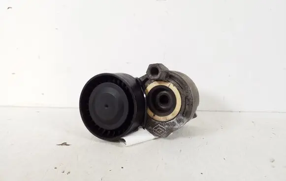 Nissan Qashqai Timing belt/chain tensioner 117503662R